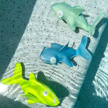 Load image into Gallery viewer, Dive Buddies